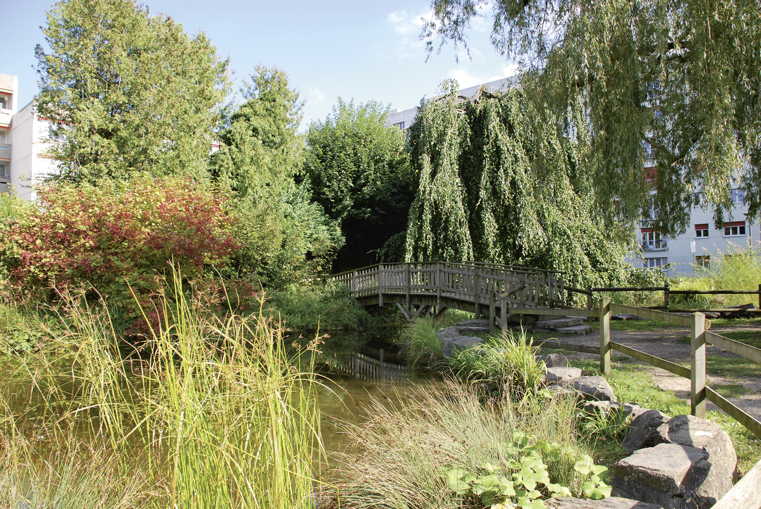  Avenue et parc des Paudex